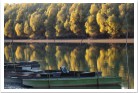 Alte Donau