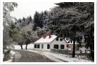 Im Winter...